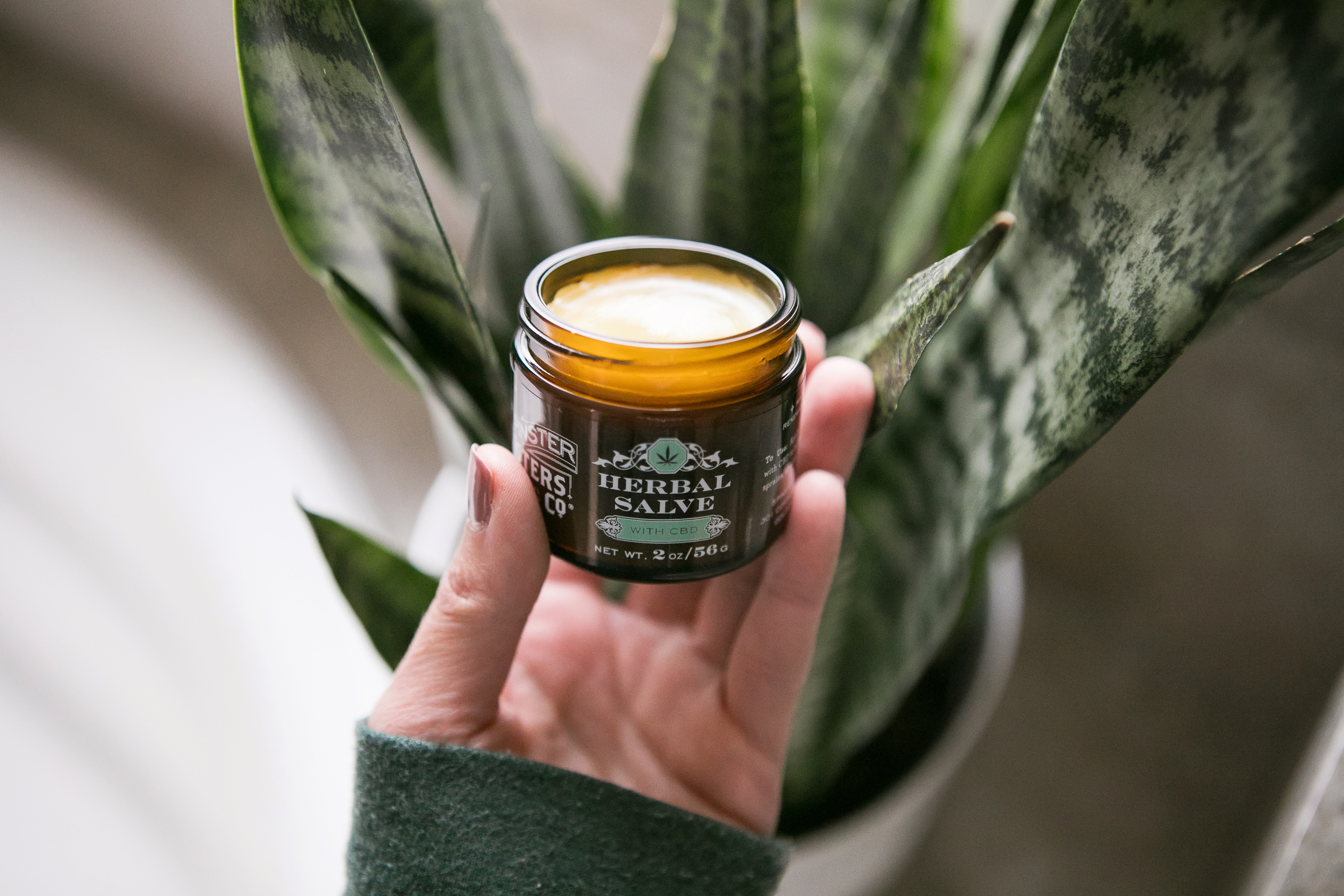Herbal Salve with CBD